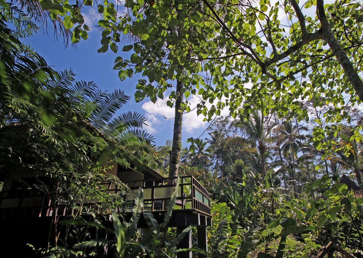 Alassari Plantation Selemadeg  Exterior photo