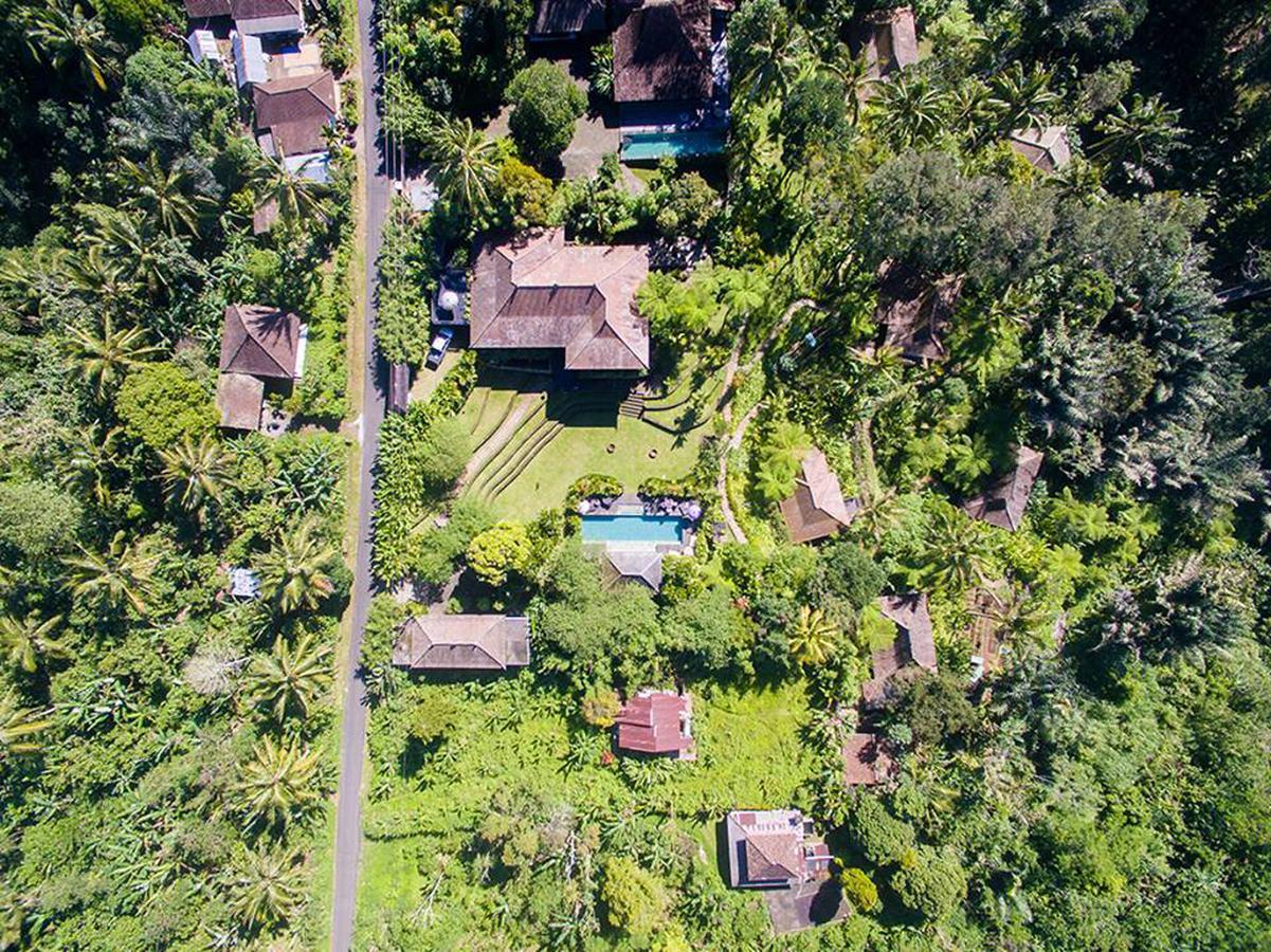 Alassari Plantation Selemadeg  Exterior photo
